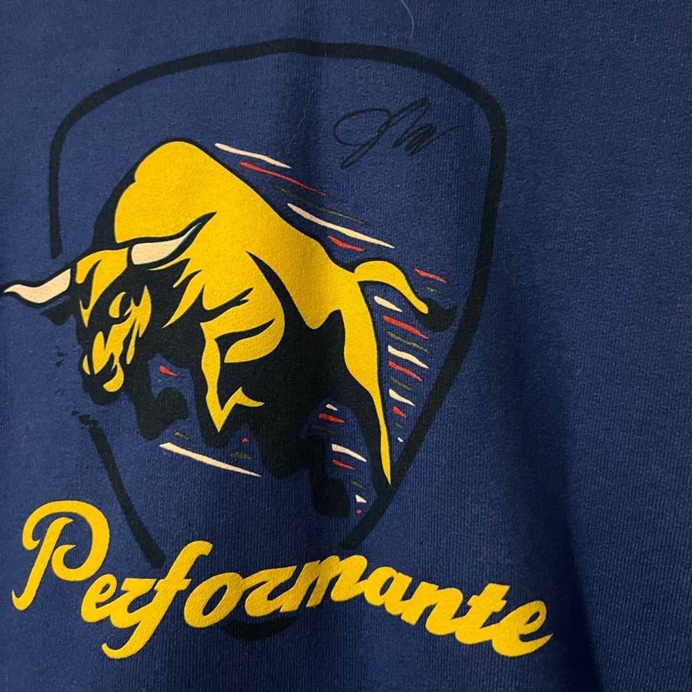 Jake Paul Lambro Men’s XLarge Hoodie EUC